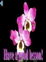 Unit 6 Lesson 3 B13 p6566