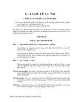 Các mẫu quy chế tài chính dành cho doanh nghiệp