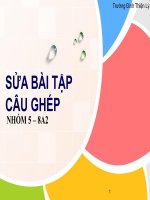 Van 8- Câu ghép2b