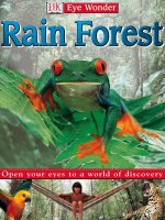 rain forest eye wonder