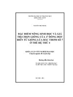 Đặc điểm nông sinh học và giá trị chọn giống của 17 dòng đột biến từ giống lúa Bắc thơm số 7 ở thế hệ thứ 4