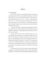 Nghiên cứu khả năng chịu thiếu nước của cà chua (Lycopersicon esculentum)