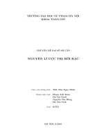 nguyên lí cực trị rời rạc