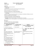 Giáo án Toán 10 co bản( Đại số )