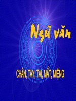 CHAN, TAY, TAI, MAT, MIENG