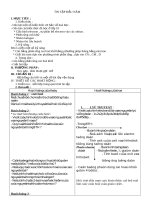 Giáo án Hóa lớp 11