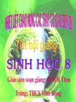 Bài 21. Hô hấp và các cơ quan hô hấp