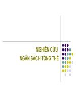 slide về ngân sách tổng thể