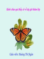 Tim mot so hang trong mot tong