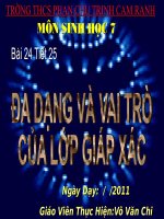 tiết 25 đa dạng của lớp giáp xác