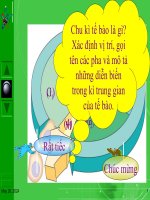 Bài 29 Nguyên phân (có đầu tư)