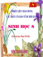 giao an hoi giang da duoc day