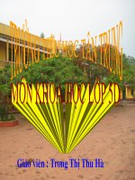 Khoa lop 5: Tre, may, song