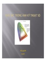 Màu sắc trong ảnh kĩ thuật số