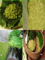 Mot mon qua cua lua non;hh