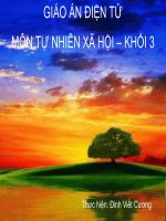 các hoạt động ở trường T2