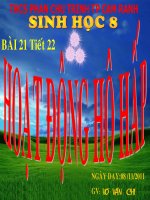 tiết 22 hoạt động hô hấp