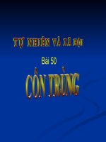 Bài 50 Côn trùng