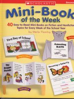 mini book of the week