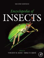 encyclopedia of insects