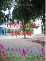 bài 17 cấu trúc di truyền của quần thể (tt)