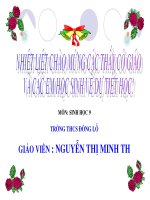 tiet 22 bai 21 dot bien gen