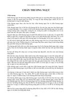 Tổng quan về chán thương ngực