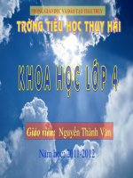 Mây được hình thành như thế nao? Mưa từ đâu ra