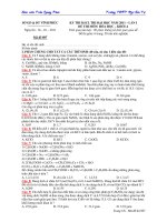 De thi thu dai hoc 2011  So GDDT Vinh Phuc.pdf