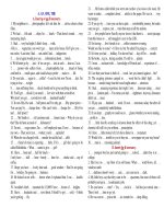 A, AN, ONE, THE (With Keys)