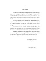 cấu trúc phổ dương của một lớp toán tử phi tuyến