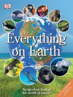 everything on earth b