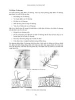 Các kỹ năng ngoại khoa