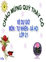 mot so loai vat sống dưới nước