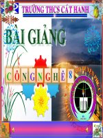 Tiết 24: Mối ghép tháo được