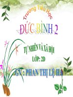 tn-xh do dung trong gia diinh