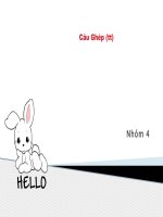 Van 8- Câu ghép (tt)