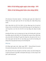 Hiểu về hệ thống ngăn ngừa xâm nhập – IPS