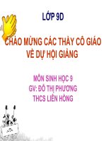 Bài 21. Tiết 22. ĐỘT BIẾN GEN