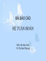 Bài báo cáo: Hệ tuần hoàn