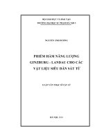 phiếm hàm năng lượng ginzburg - landau cho các vật liệu siêu dẫn sắt từ