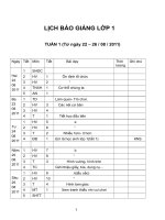 Giao an lop 1 tuan 1 den 11 (CKT + KNS)