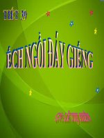 Ếch ngồi đáy giếng NQ