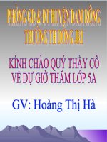 tập đọc tuần 11 hoàng hà dơngjri