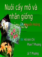 Nuôi cấy mô và nhân giống invitro