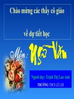 Tổng kết về từ vựng - tiết 40