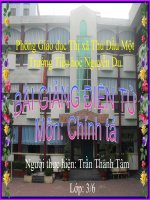 CT- chieu tren song huong