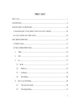 quy trình kỹ thuật trong nhân giống và nuôi trồng cây chuối