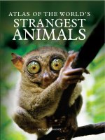 atlas of the world''s stranges animals b