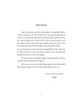 nghiên cứu các tính chất từ của hệ chuẩn hai chiều